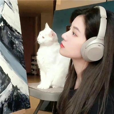 活死喵之夜