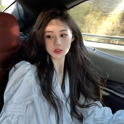 森林泰山2