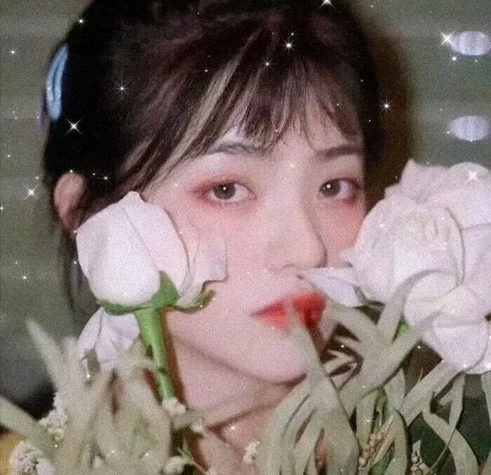 明月守护者