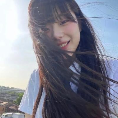 树袋熊